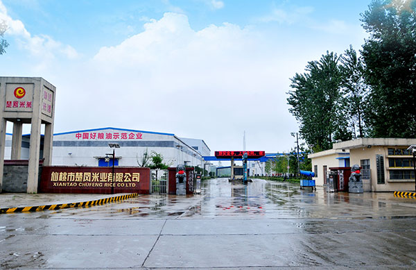 湖北麻豆AV在线免费批发