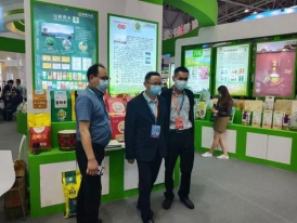 湖北麻豆AV在线免费批发