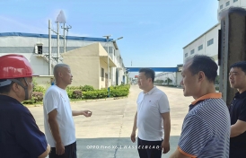 湖北麻豆AV在线免费批发