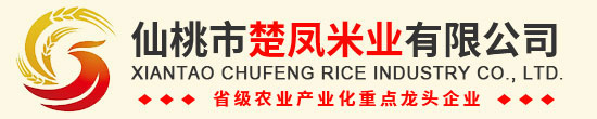 湖北仙桃麻豆AV在线免费