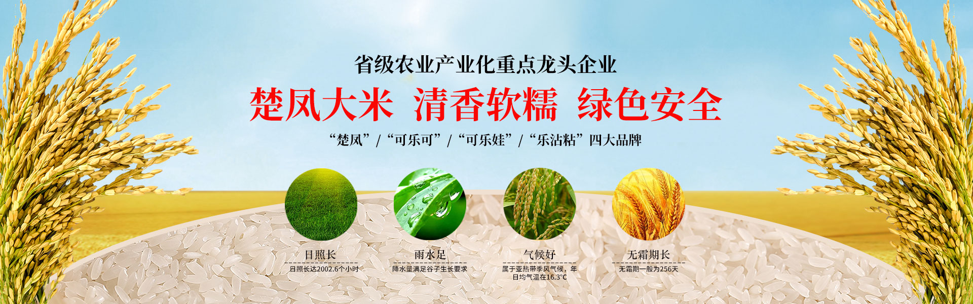 湖北仙桃麻豆AV在线免费,仙桃麻豆AV在线免费,湖北麻豆AV在线免费批发